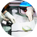 Taizhou Huangyan Bonuo Mould Co., Ltd.