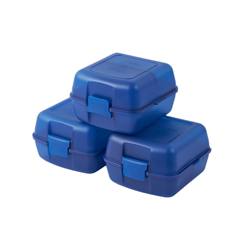 Sealed Leak-Proof Plastic Pill Box/Bento Box